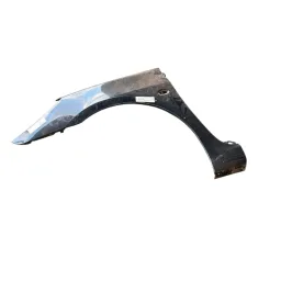 Paralama Dianteiro Esquerdo Peugeot 307 2006/12 (preto)