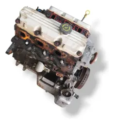 Motor Omega Australiano 3.8 V6 Gas 1998 a 2004 197cv