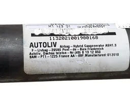 Cortina esquerda Airbag Teto BMW X6