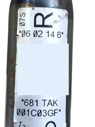 Cortina direita Airbag Teto Volkswagen Passat CC 2014 2015