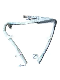Cortina Esquerda airbag Teto BMW X1 2017 2018 2019 2020 2021