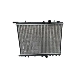 Radiador Citroen C4 Peugeot 206 207 307 2011 Original
