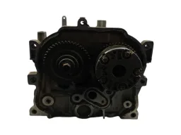Cabeçote Sentra Fluence 2.0 16v 2009 2010 a 2020 Flex