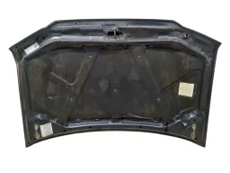 CAPO DIANTEIRO PAJERO TR4 2003 2004 A 2009 C/AMASSADO