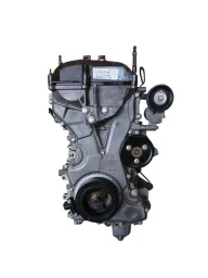 Motor Focus Ecosport 2.0 16v Gas Duratec 04 a 2009 138/147cv