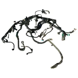Chicote Injeção Motor Civic 1.8 2008 A 2011 69236094