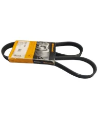 CORREIA DO ALTERNADOR RENAULT MASTER 2.8 DTI 8V  2002 2004