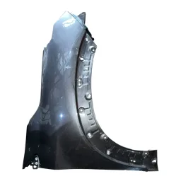 Paralama Direito Pulse Fastback 2022 2023 2024/..