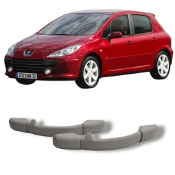 Par Alça teto dianteiro Peugeot 307 2006 2012 original
