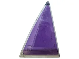 Vidro Porta Traseira Direita (Fixo) Corolla 1998 a 2002