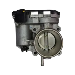 Corpo Borboleta Tbi Hyundai Hb20 1.0 3cc 20/25