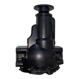 DIFERENCIAL DIANTEIRO 49X10 PAJERO TR4 AUTOMÁTICA 03 A 15