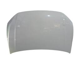 Capô Dianteiro Polo Virtus 2018 2019 2020/..