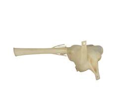 RESERVATORIO DO LIMPADOR COROLLA 2009 A 2014