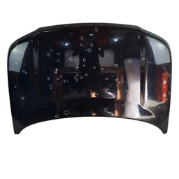 CAPÔ LAND ROVER FREELANDER 1 2004 A 2006 ORIGINAL