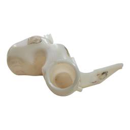 RESERVATORIO PARTIDA FRIO  ONIX PRISMA COBALT  2013A2019