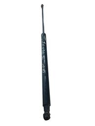 Amortecedor Tampa Traseira Renault Sandero 14/22 654716439R