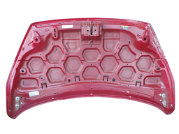 CAPÔ DIANTEIRO KA 2015 A 2021