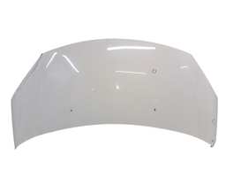 Capô Dianteiro C3 2013 a 2020 DS3 2012 a 2017 (DETALHE)