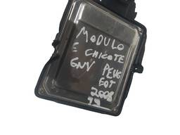 MODULO E CHICOTE GNV