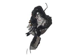 MODULO E CHICOTE GNV