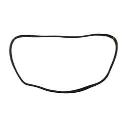 BORRACHA PORTA TRASEIRA ESQUERDA PEUGEOT 206 207 PASSION