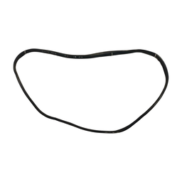 BORRACHA PORTA DIANTEIRA DIREI (CARROCERIA) CITROEN C3 03/12