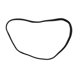 BORRACHA PORTA DIANTEIRA DIREI (CARROCERIA) CITROEN C3 03/12