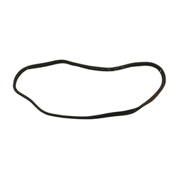 BORRACHA PORTA TRASEIRA ESQUER (CARROCERIA) CITROEN C3 03/12