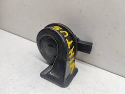 BUZINA CARACOL VIRTUS 2018 A 2022