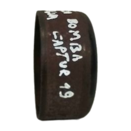 POLIA BOMBA AGUA MOTOR CAPTUR 1.6 16V 2019