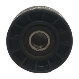 POLIA CORREIA C4 PALLAS 2.0 16V 2010