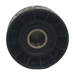 POLIA CORREIA C4 PALLAS 2.0 16V 2010