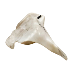 RESERVATÓRIO AGUA LIMPADOR PARA BRISA SYMBOL 2012 1.6 16V