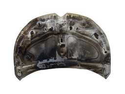 CAPÔ DIANTEIRO C4 LOUNGE 2014 A 2020