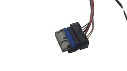 CHICOTE PORTA TRASEIRA DIREITA CAPTUR 2019