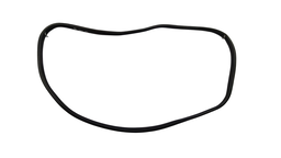 Borracha Porta Dianteira Esquerda (Carroceria) Clio 00 a 16