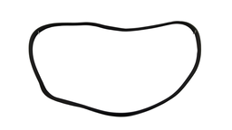 BORRACHA PORTA DIANTEIRA ESQUERDA (CARROCERIA) CLIO 00 A 16