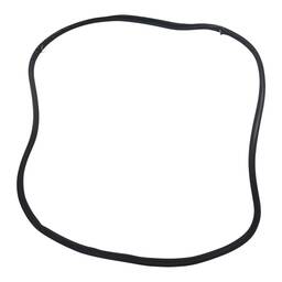 BORRACHA PORTA DIANTEIRA DIREITA C3 AIRCROSS PICASSO 13/20