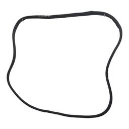 BORRACHA PORTA DIANTEIRA DIREITA C3 AIRCROSS PICASSO 13/20