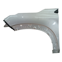 Paralama Pulse Fastback 2022 2023 2024 Esquerdo