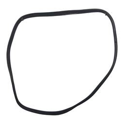 BORRACHA PORTA TRASEIRA ESQUERDA C3 AIRCROSS PICASSO 13/20