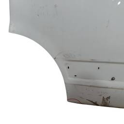 PORTA DIANTEIRA ESQUERDA IVECO DAILY 2008 A 2019 ORIGINAL 