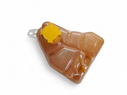 reservatorio agua radiador Fiesta Ecosport Focus 1.0 00/14 