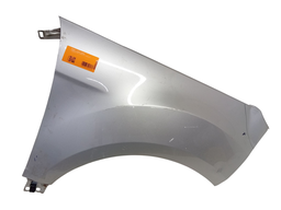 Paralama Direito Ecosport 2013 2014 a 2021 C/DETALHE