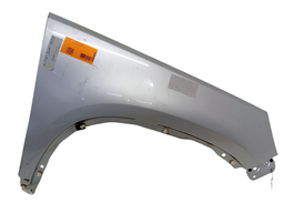 PARALAMA DIREITO TIGUAN 2010 A 2017