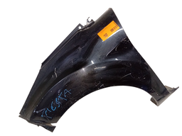 Paralama Esquerdo New Fiesta 2012 a 2019