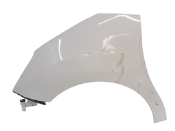 Paralama Esquerdo C3 2013 a 2020 DS3 2012/2017 C/DETALHE