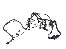 Chicote Motor Injeção Ford Focus 2.0 16v Duratec 2009 A 2013