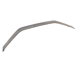 FRISO TETO PANORAMICO C3 2013 2014 A 2020